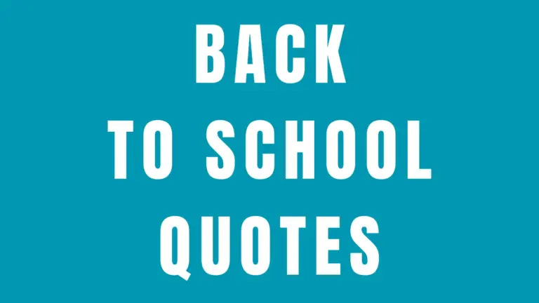 50 Short Back to School Quotes and Sayings