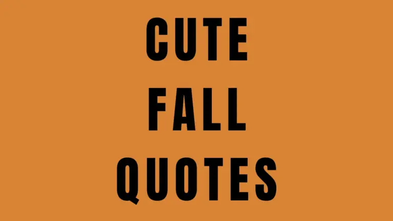 50 Cute Fall Quotes to Inspire Your Feed