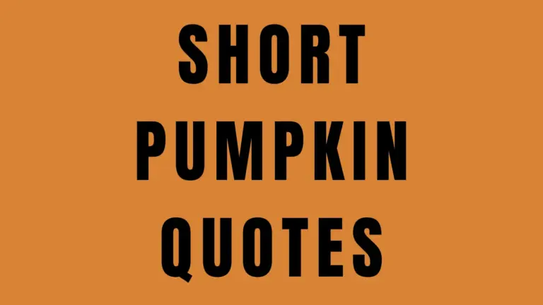50 Cute Pumpkin Quotes and Sayings for Fall