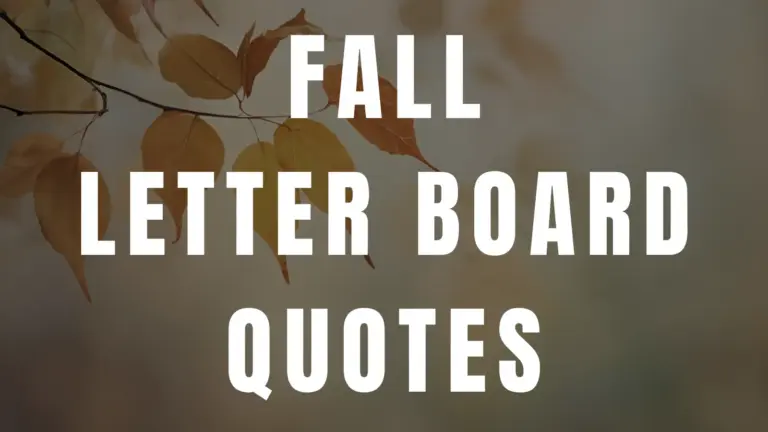 50 Best Fall Letter Board Quotes for Autumn Vibes